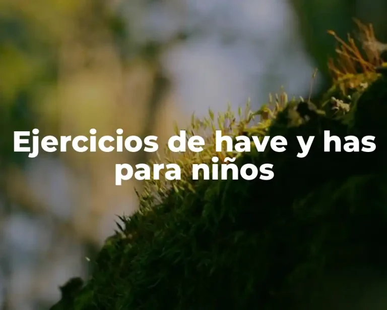 Ejercicios de have y has para niños