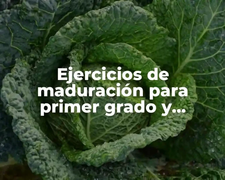 Ejercicios de maduración para primer grado y Significado
