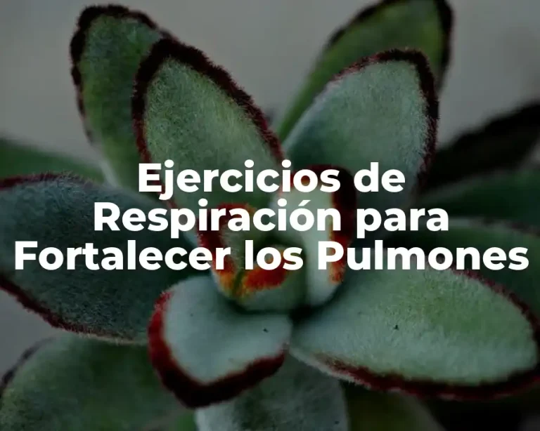 Ejercicios de Respiración para Fortalecer los Pulmones