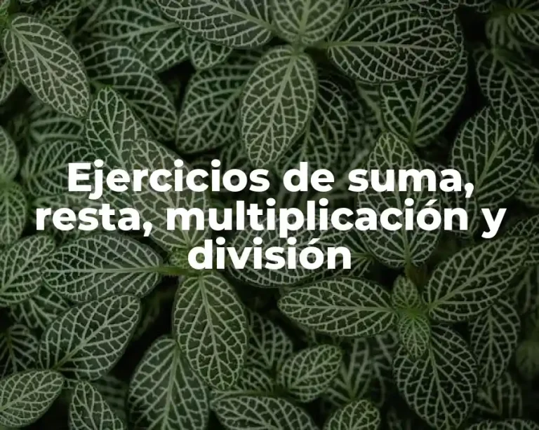 Ejercicios de suma, resta, multiplicación y división