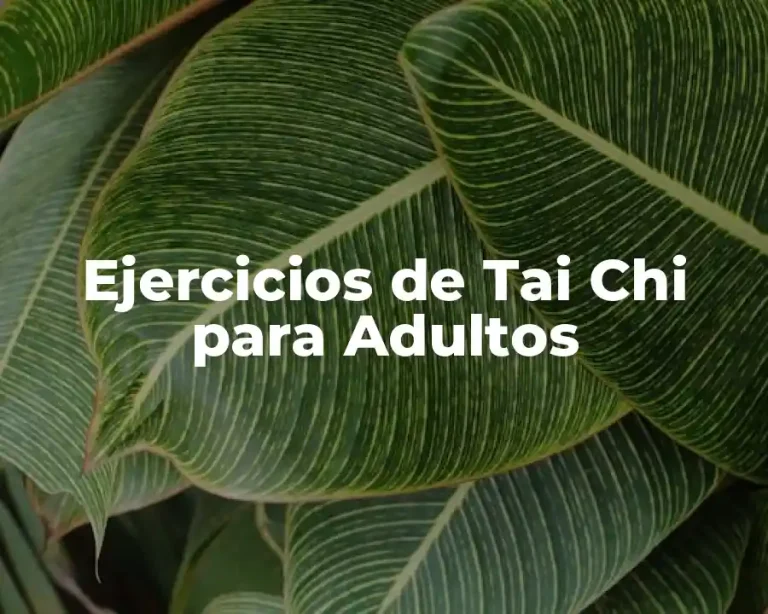Ejercicios de Tai Chi para Adultos