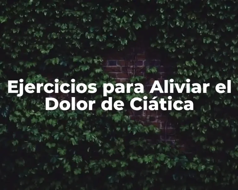 Ejercicios para Aliviar el Dolor de Ciática
