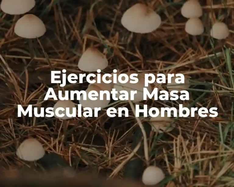 Ejercicios para Aumentar Masa Muscular en Hombres