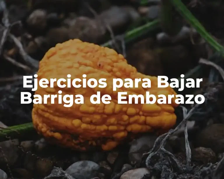 Ejercicios para Bajar Barriga de Embarazo