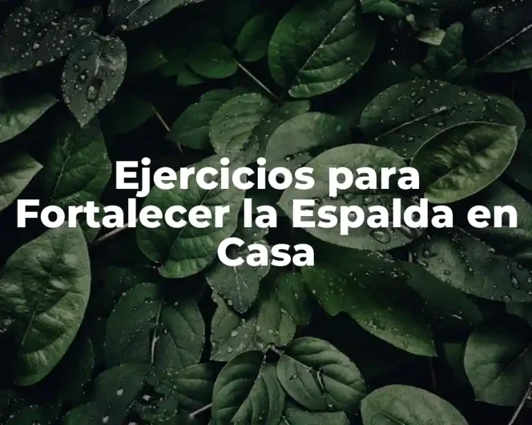 Ejercicios para Fortalecer la Espalda en Casa