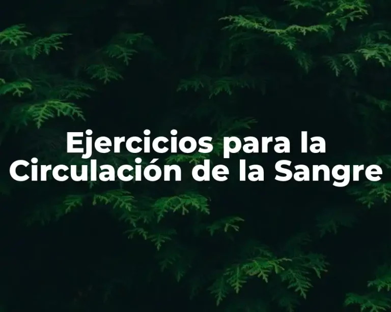 Ejercicios para la Circulación de la Sangre