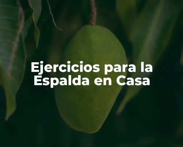Ejercicios para la Espalda en Casa