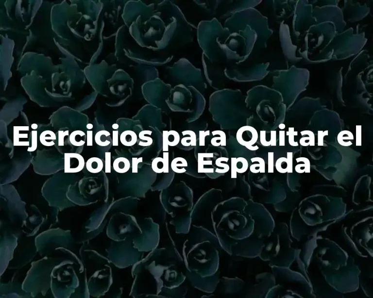 Ejercicios para Quitar el Dolor de Espalda