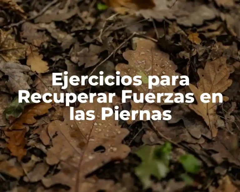 Ejercicios para Recuperar Fuerzas en las Piernas