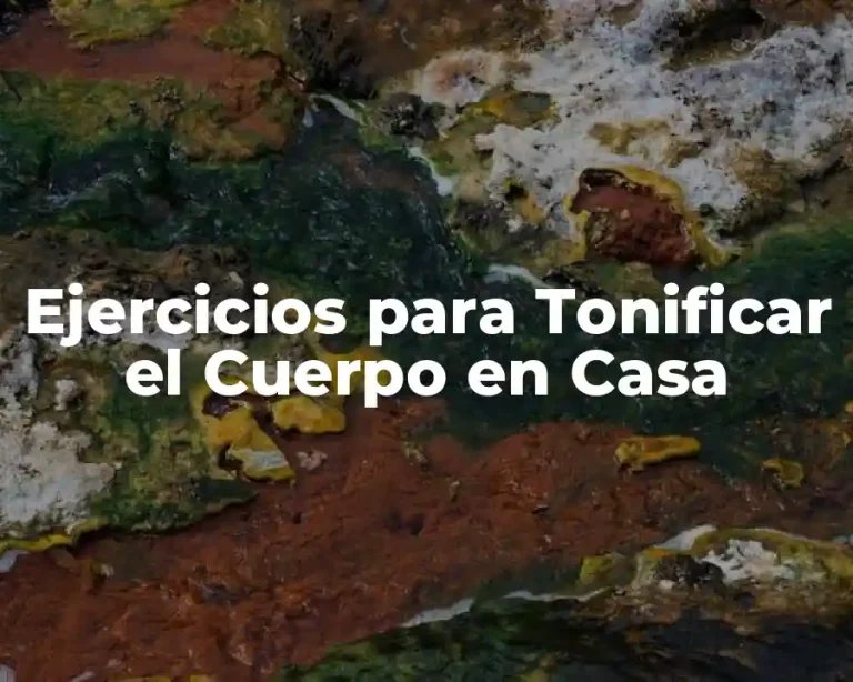 Ejercicios para Tonificar el Cuerpo en Casa