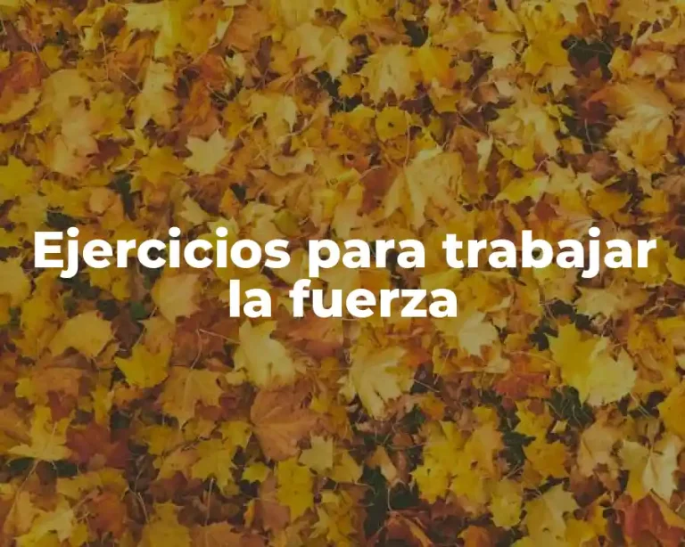 Ejercicios para trabajar la fuerza