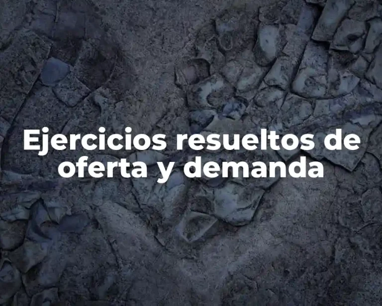 Ejercicios resueltos de oferta y demanda