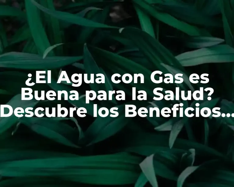 ¿El Agua con Gas es Buena para la Salud? Descubre los Beneficios y Riesgos