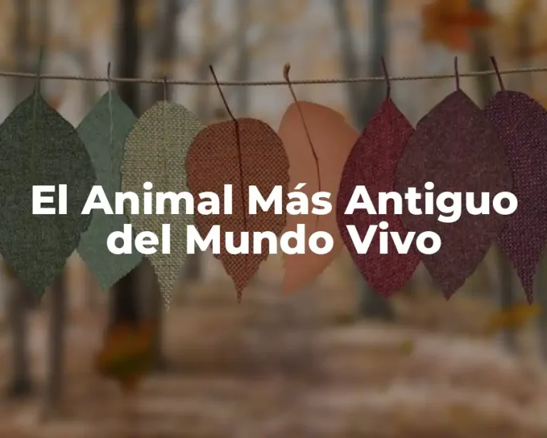 El Animal Más Antiguo del Mundo Vivo