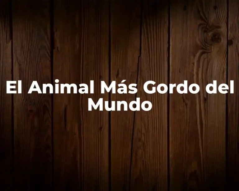 El Animal Más Gordo del Mundo