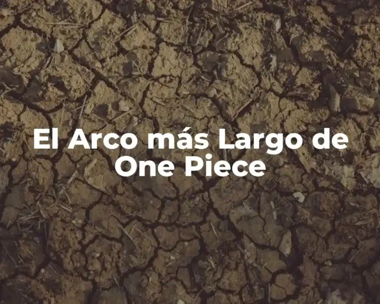 El Arco más Largo de One Piece
