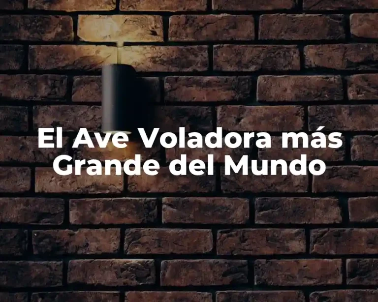 El Ave Voladora más Grande del Mundo