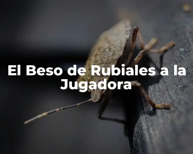 El Beso de Rubiales a la Jugadora
