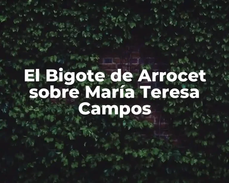 El Bigote de Arrocet sobre María Teresa Campos