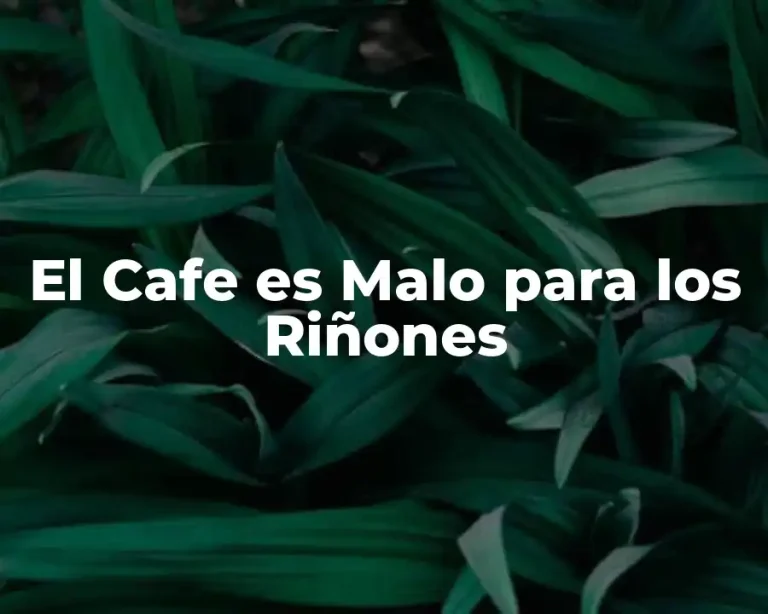 El Cafe es Malo para los Riñones