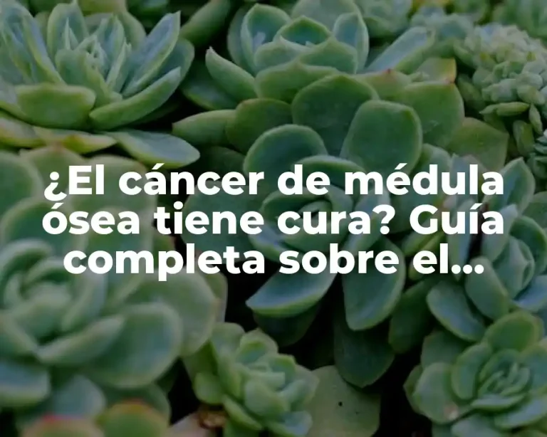 ¿El cáncer de médula ósea tiene cura? Guía completa sobre el tratamiento y prognosis del mieloma múltiple