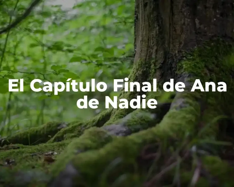 El Capítulo Final de Ana de Nadie