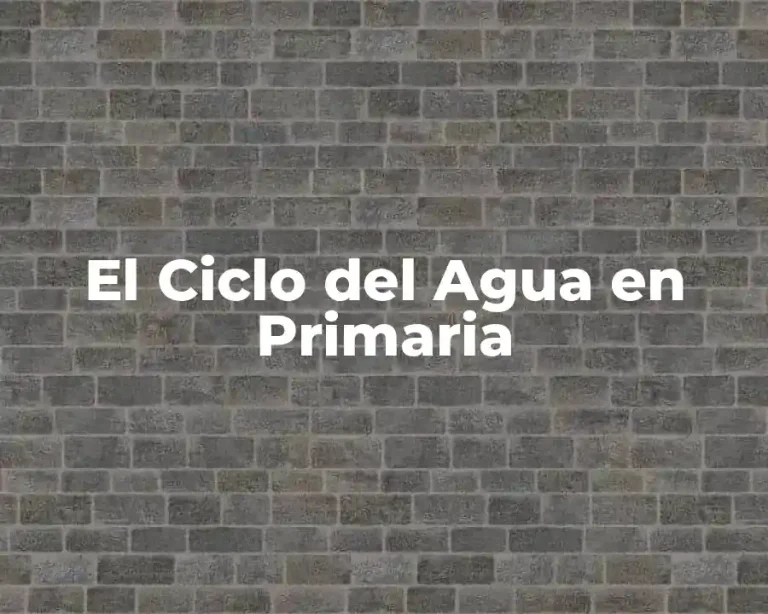 El Ciclo del Agua en Primaria