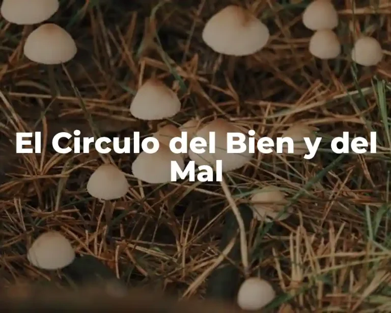 El Circulo del Bien y del Mal