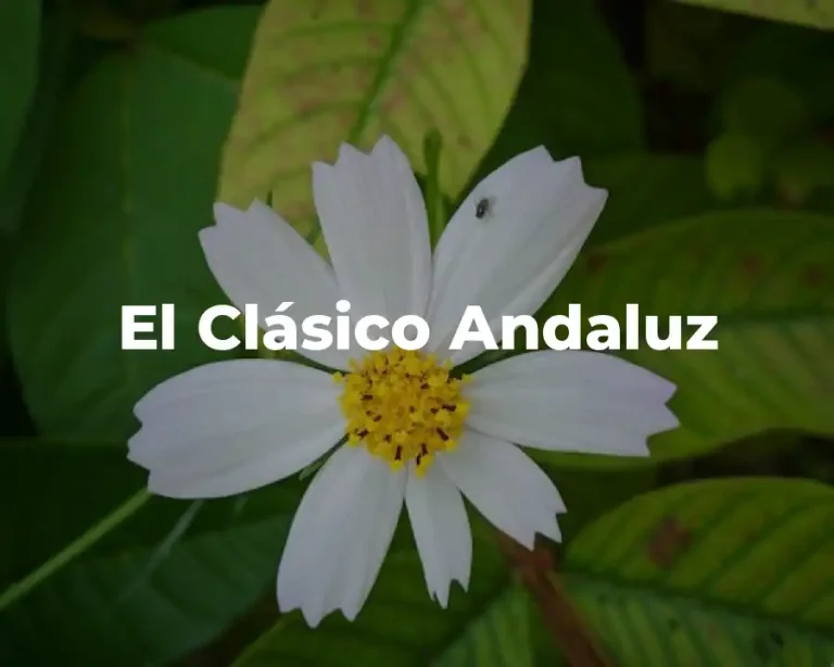 El Clásico Andaluz