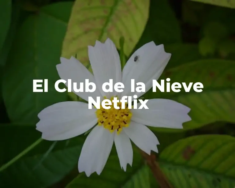 El Club de la Nieve Netflix