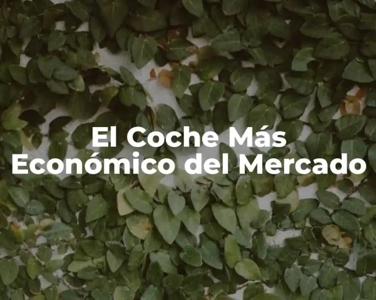El Coche Más Económico del Mercado