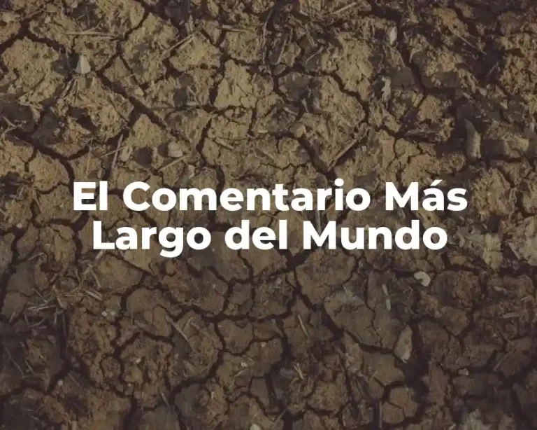 El Comentario Más Largo del Mundo
