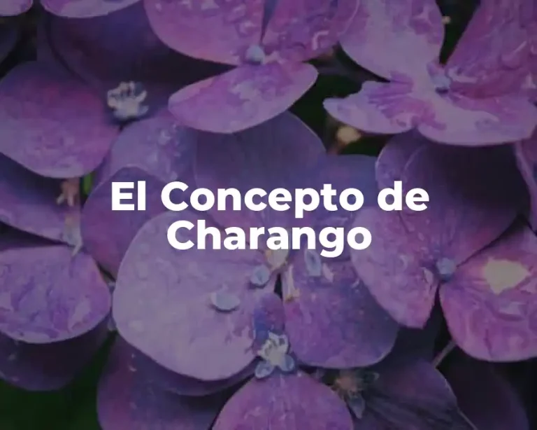 El Concepto de Charango