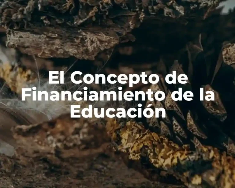El Concepto de Financiamiento de la Educación