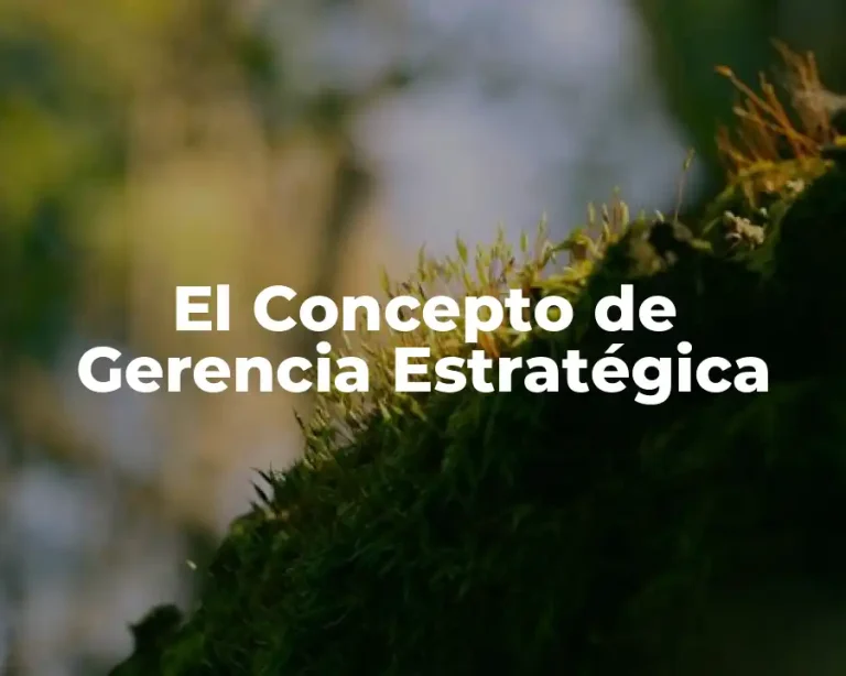 El Concepto de Gerencia Estratégica