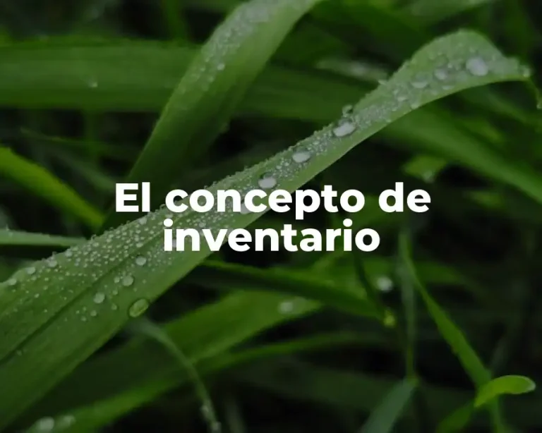 El concepto de inventario