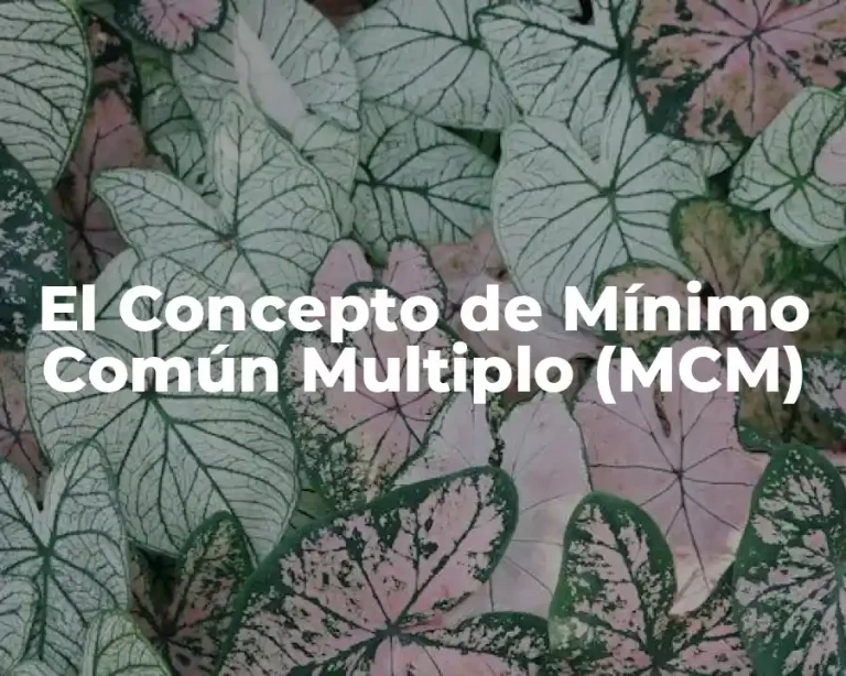 El Concepto de Mínimo Común Multiplo (MCM)