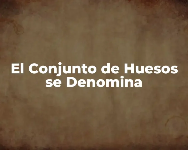 El Conjunto de Huesos se Denomina