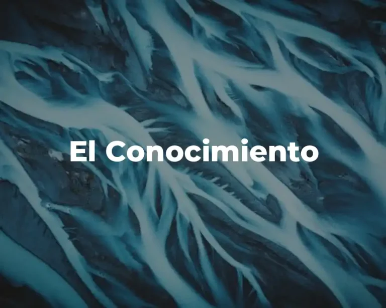 El Conocimiento