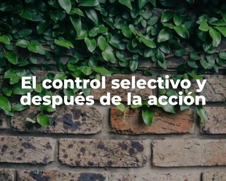 El control selectivo y después de la acción
