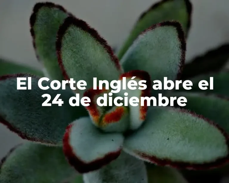 El Corte Inglés abre el 24 de diciembre