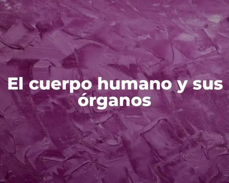 El cuerpo humano y sus órganos