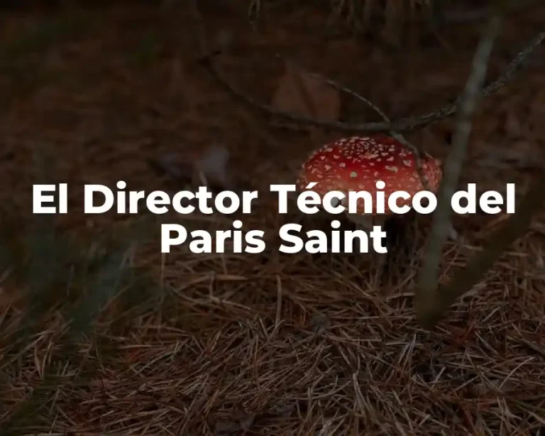El Director Técnico del Paris Saint