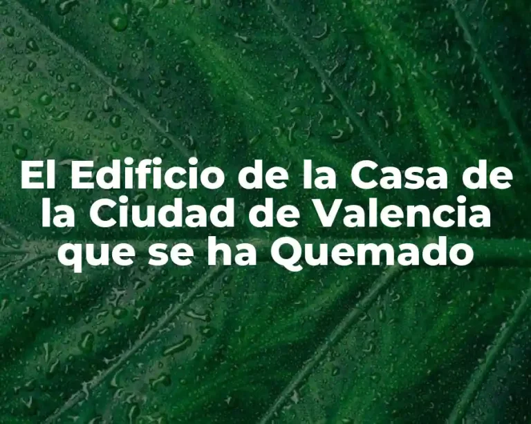 El Edificio de la Casa de la Ciudad de Valencia que se ha Quemado