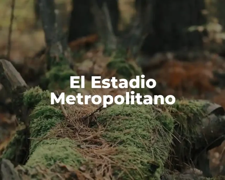 El Estadio Metropolitano