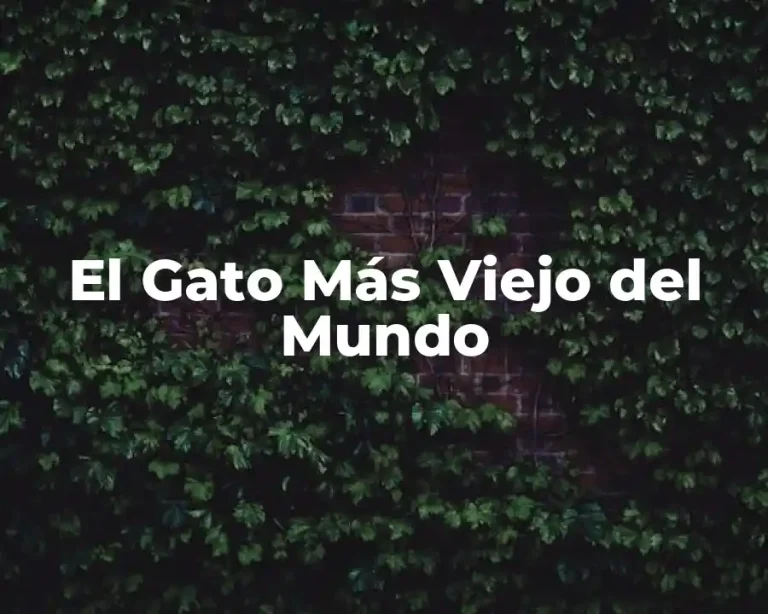 El Gato Más Viejo del Mundo
