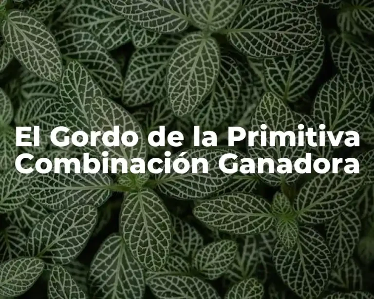 El Gordo de la Primitiva Combinación Ganadora