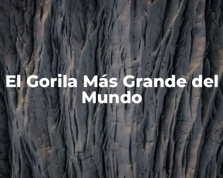 El Gorila Más Grande del Mundo