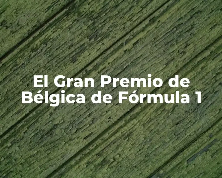 El Gran Premio de Bélgica de Fórmula 1