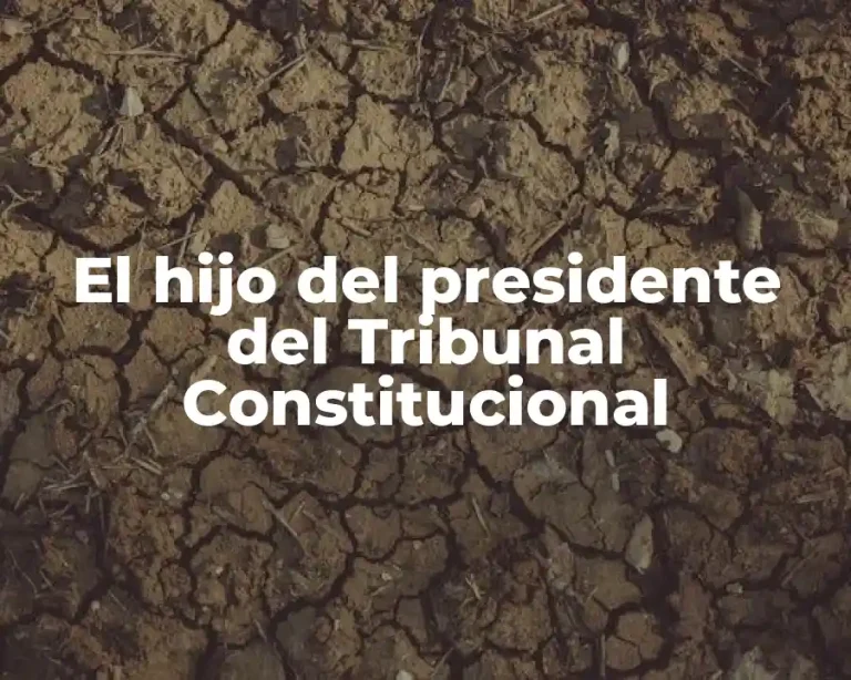 El hijo del presidente del Tribunal Constitucional